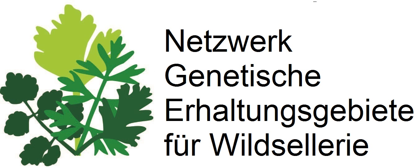 Logo NNetzwerk genetische Erhaltungsgebiete fuer Wildsellerie